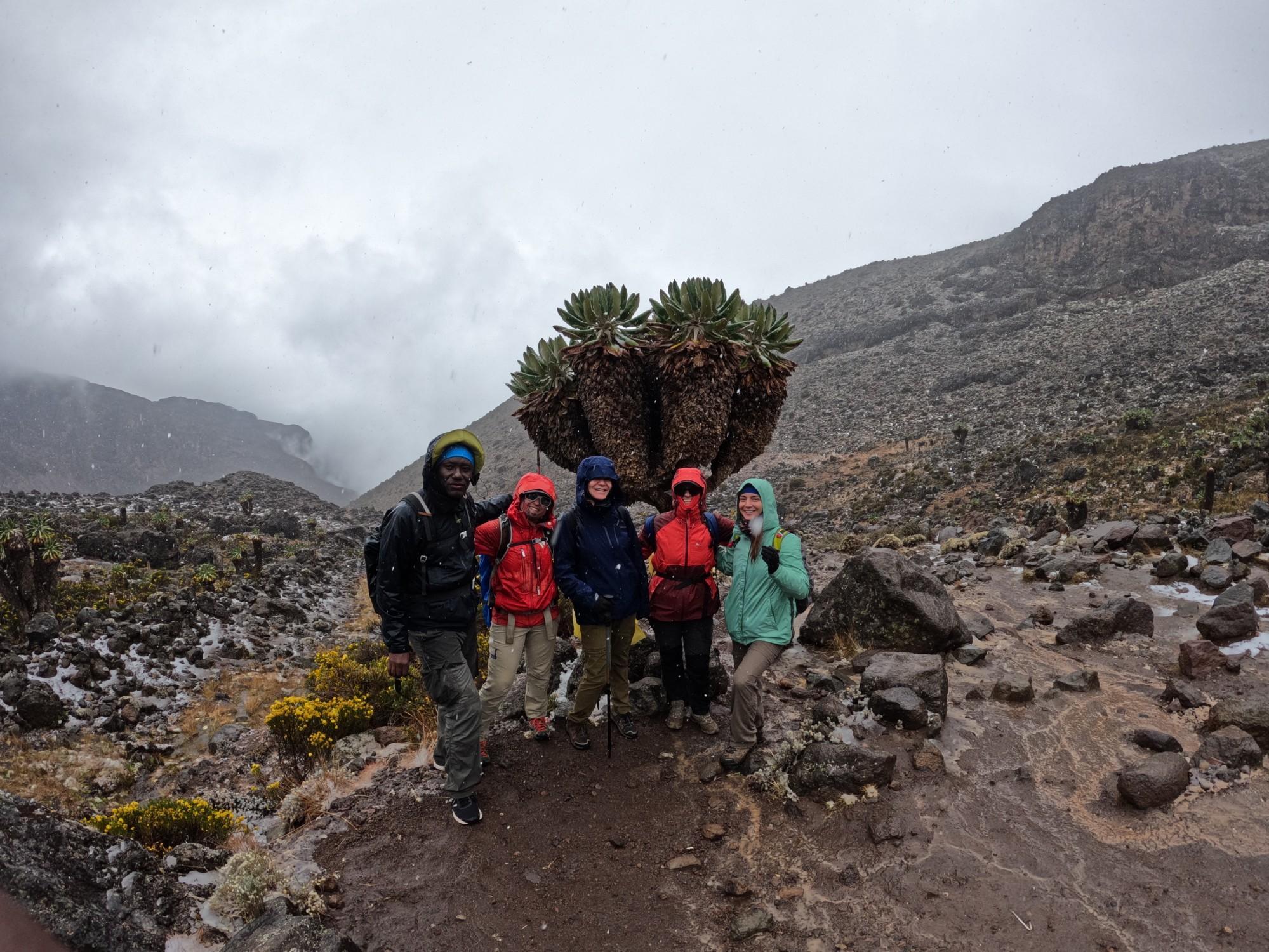 Embracing Kili's Chill — Kilimanjaro